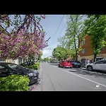 Centro Di Modena Grazioso Appartamento
